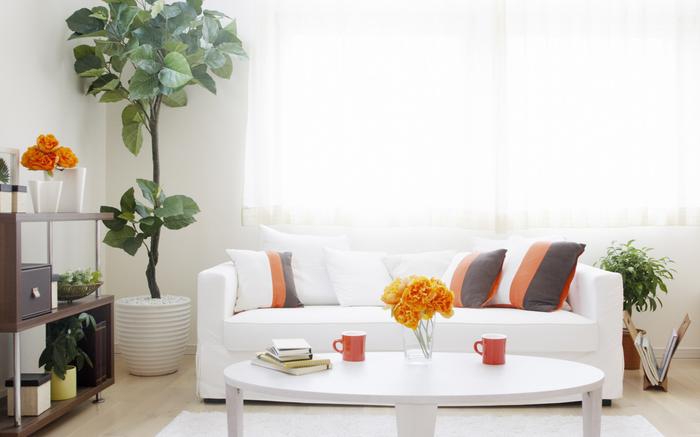 凈化型除濕加濕一體機