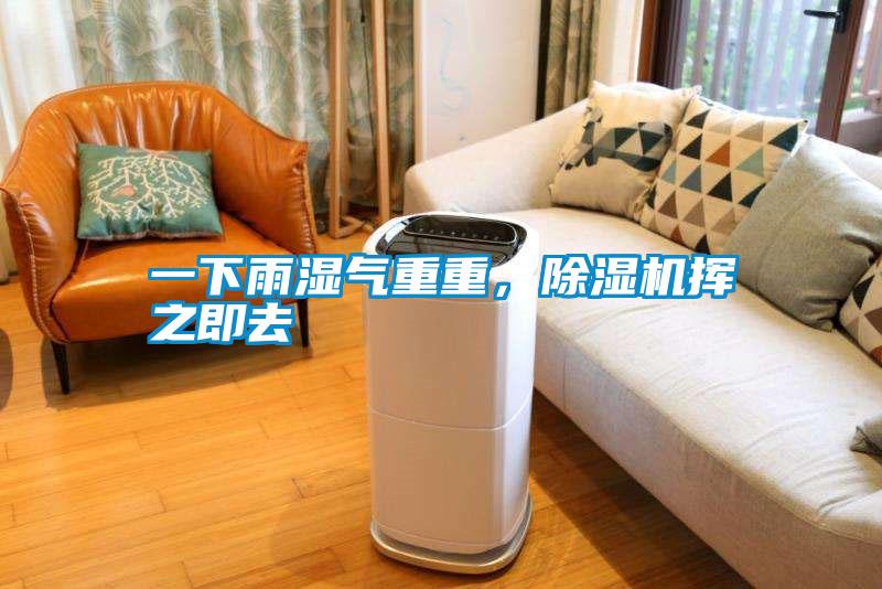 一下雨濕氣重重，除濕機(jī)揮之即去