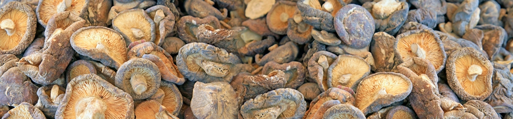 甄選好除濕機(jī)，做濕度掌控者