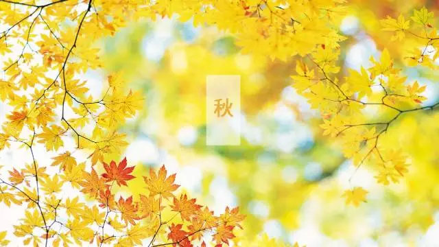 轉(zhuǎn)輪除濕機(jī)的核心部分在哪里？如何鑒定轉(zhuǎn)輪好壞呢？