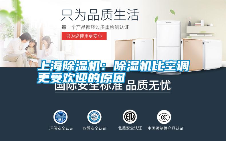 上海除濕機：除濕機比空調更受歡迎的原因
