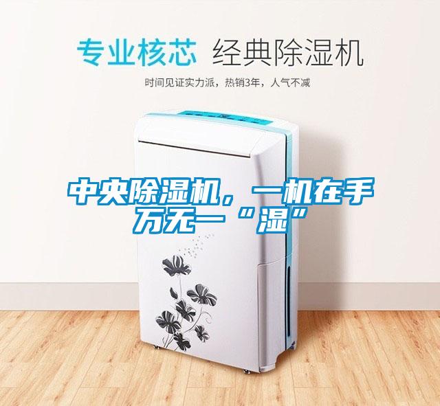 中央除濕機，一機在手萬無一“濕”