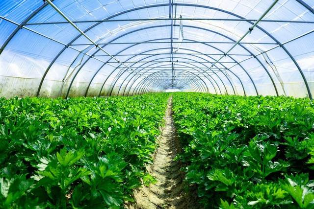 浙江德國訂恒溫恒濕試驗箱 ASM2000N