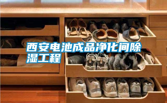 郴州防爆型工業(yè)除濕機(jī) B安詩(shī)曼ASM10