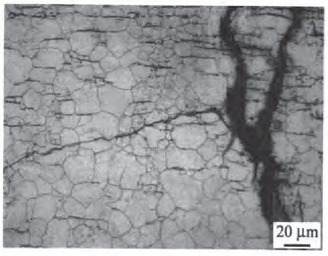 帶有防霧除濕功能的口內(nèi)掃描儀的3D牙齒打印系統(tǒng)的制作方法