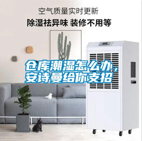 倉庫潮濕怎么辦，安詩曼給你支招