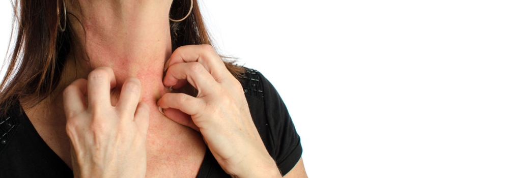 雙轉(zhuǎn)輪除濕機(jī)的工作原理及其與單轉(zhuǎn)輪除濕機(jī)的區(qū)別