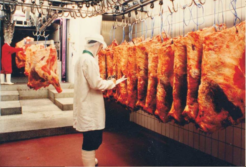 步入式高低溫濕熱交變試驗箱