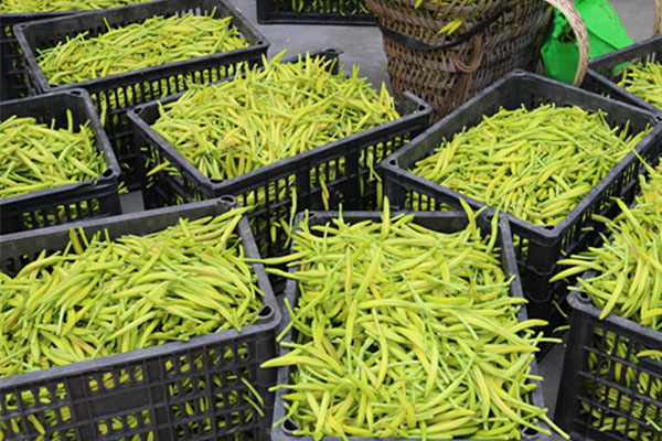 除濕機銷售人員如何還價