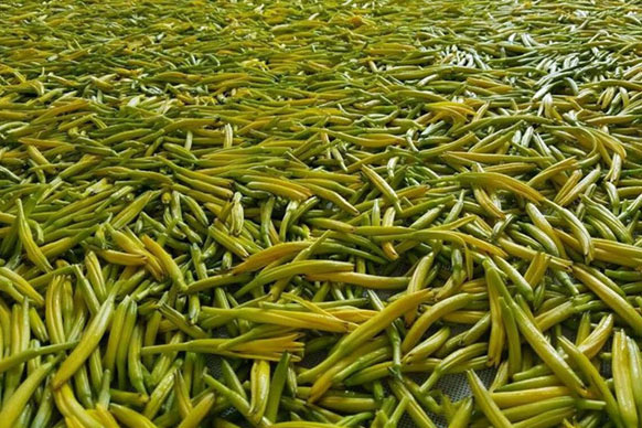 寧波生產(chǎn)恒溫恒濕試驗(yàn)箱報(bào)價(jià)及圖片