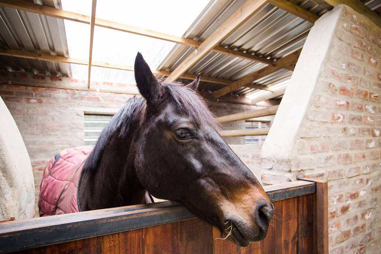 【化工業(yè)高性能全國保修制冷加熱一體機(jī)】價(jià)格,廠家,恒溫試驗(yàn)設(shè)備