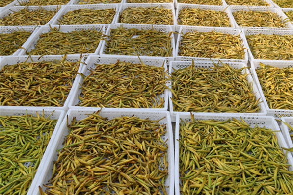 具備除濕功能磁懸浮中央空調(diào)入駐深圳