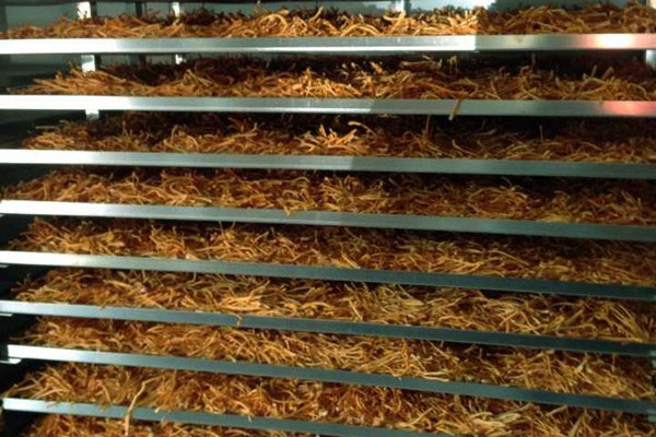 熱點(diǎn)：除濕機(jī)企業(yè)_讓你的大象舞動得更精彩_業(yè)內(nèi)新聞_新聞動態(tài)-實(shí)力廠家官網(wǎng)