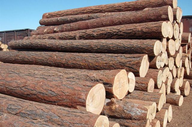 迷你除濕機(jī)—迷你除濕機(jī)介紹及選購(gòu)