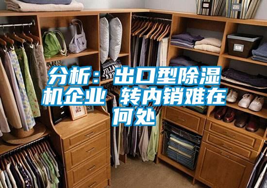 分析：出口型除濕機(jī)企業(yè) 轉(zhuǎn)內(nèi)銷難在何處