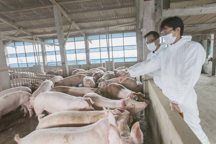 檔案室潮濕怎么辦 如何解決檔案室潮濕問題-除濕機