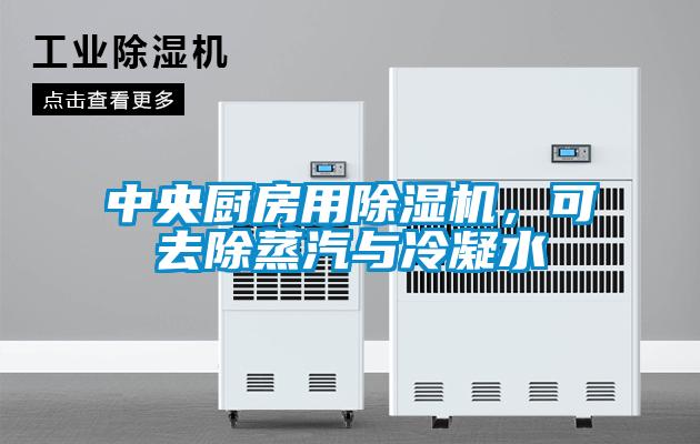 中央廚房用除濕機，可去除蒸汽與冷凝水