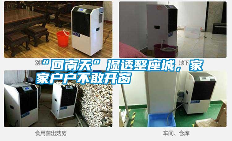 “回南天”濕透整座城，家家戶戶不敢開窗