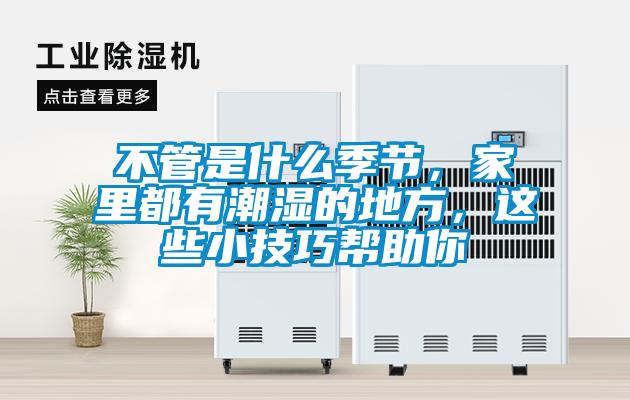 不管是什么季節(jié)，家里都有潮濕的地方，這些小技巧幫助你