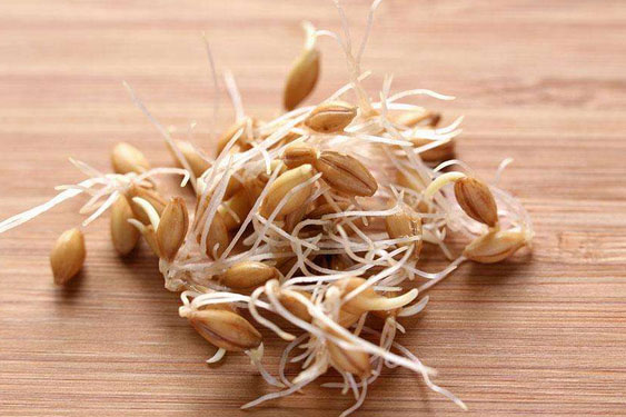 除濕機(jī)與鐵觀音制作