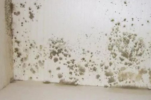 ASM-160FC防靜電防潮箱