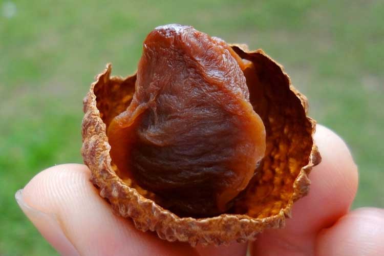 對三機一體除濕干燥機的水量如何控制？