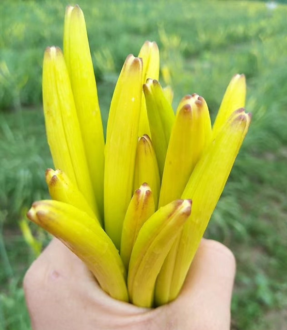 恒溫恒濕空調(diào)控制器原理是什么 恒溫恒濕空調(diào)控制器原理