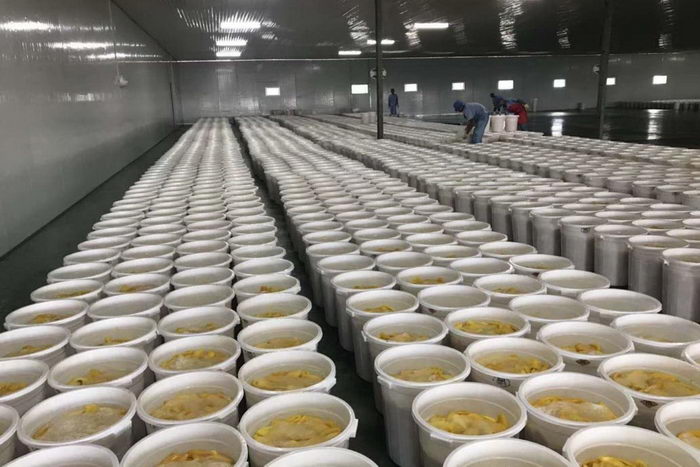 轉(zhuǎn)輪除濕機應(yīng)用領(lǐng)域