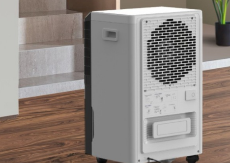 為什么南方獨(dú)有回南天，潮濕的日子里該怎么辦？