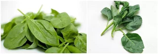 智能除濕器哪個(gè)牌子好 智能除濕器品牌推薦