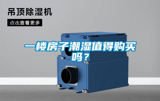 一樓房子潮濕值得購買嗎？