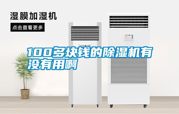 100多塊錢的除濕機(jī)有沒(méi)有用啊