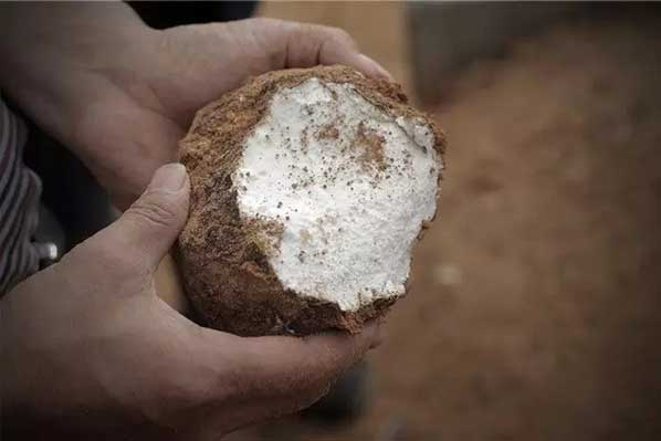 工業(yè)除濕機(jī)效果不好的原因是什么