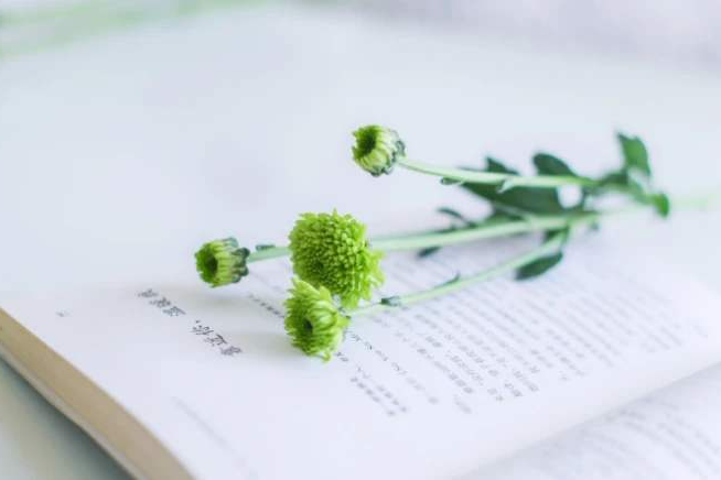 恒溫恒濕防爆柜安詩(shī)曼除濕機(jī)生產(chǎn)廠家