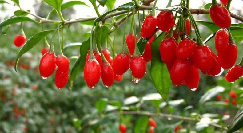 除濕機(jī)常見(jiàn)故障判斷基本方法