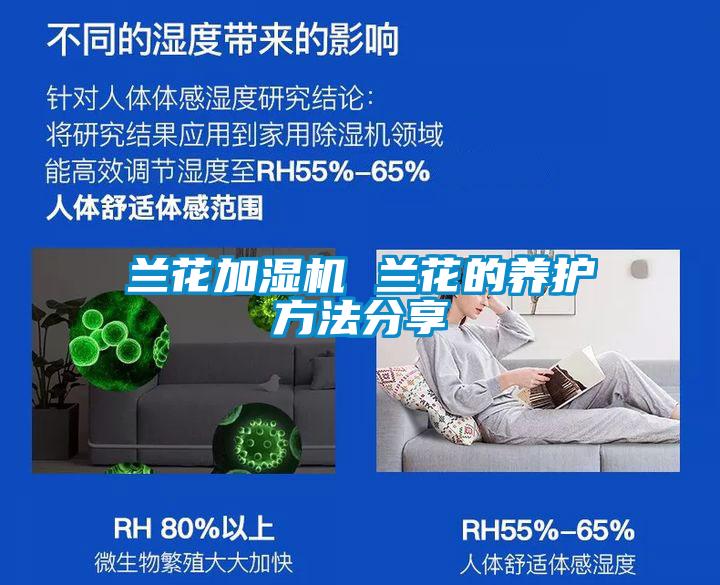蘭花加濕機(jī) 蘭花的養(yǎng)護(hù)方法分享