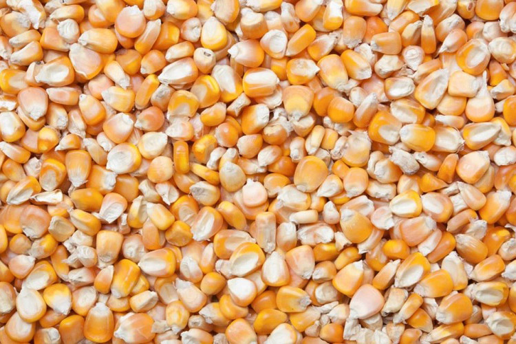 杭州大型分體肉類低溫高濕解凍解凍機生產廠(技術指導：2023已更新)