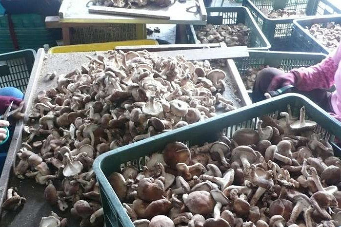 社區(qū)泳池等都相繼開放