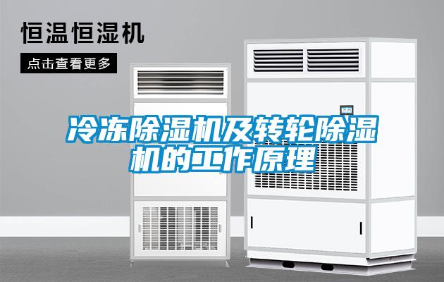 冷凍除濕機(jī)及轉(zhuǎn)輪除濕機(jī)的工作原理