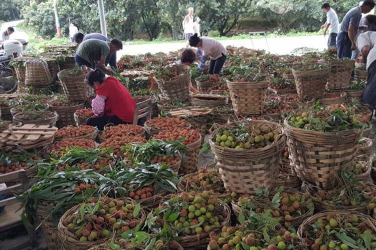 潮濕天氣 養(yǎng)生不宜大補(bǔ)