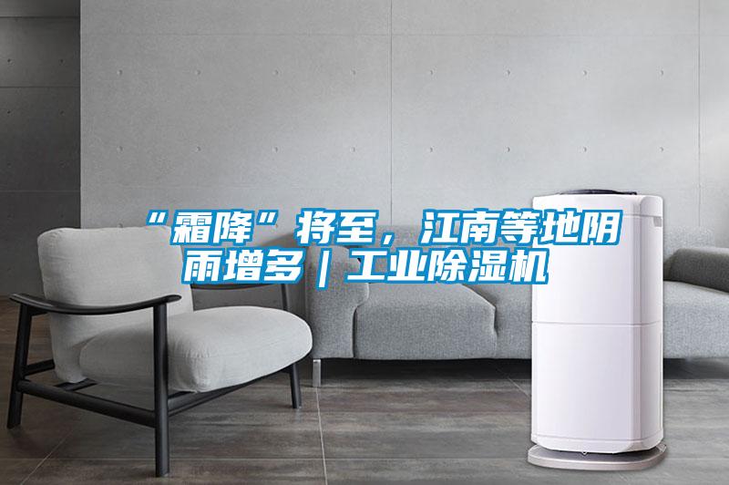 “霜降”將至，江南等地陰雨增多｜工業(yè)除濕機