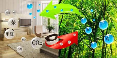 普洱茶發(fā)霉怎么辦？