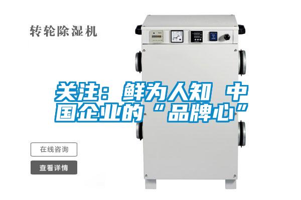 關(guān)注：鮮為人知 中國企業(yè)的“品牌心”