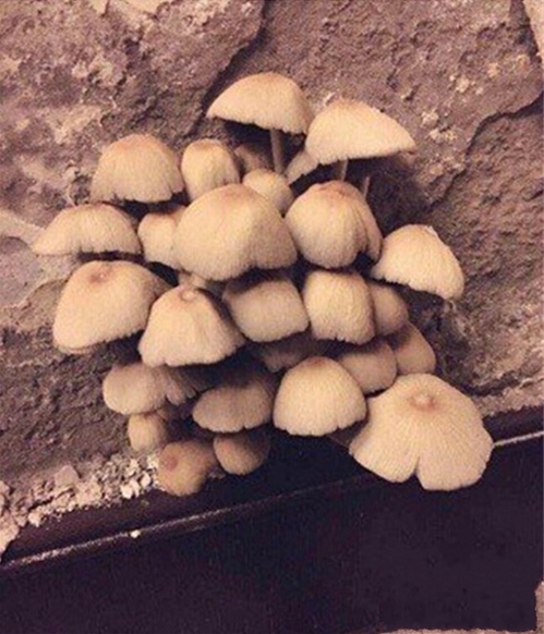 陜西高低溫交變試驗箱廠家 大型高低溫試驗箱現(xiàn)貨