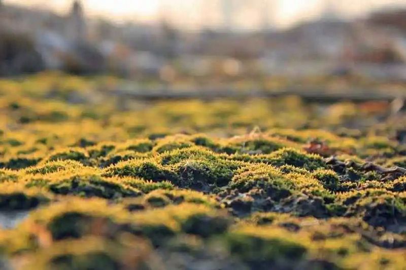 上海高低溫試驗箱 高低溫試驗箱哪個牌子質(zhì)量好？
