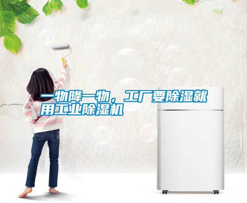 一物降一物，工廠要除濕就用工業(yè)除濕機(jī)