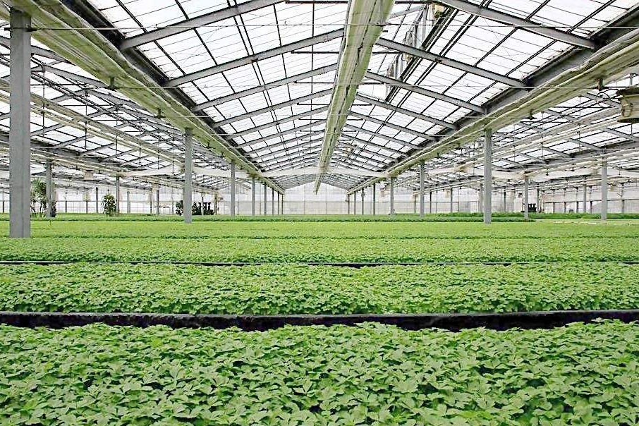 空氣濕度與我們生活密切相關(guān)，除濕機(jī)發(fā)揮大作用