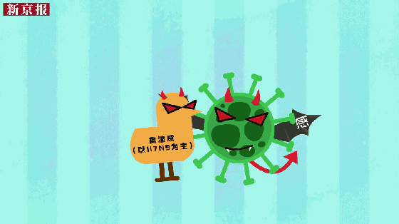 柿餅怎么做？柿餅烘干除濕機(jī)