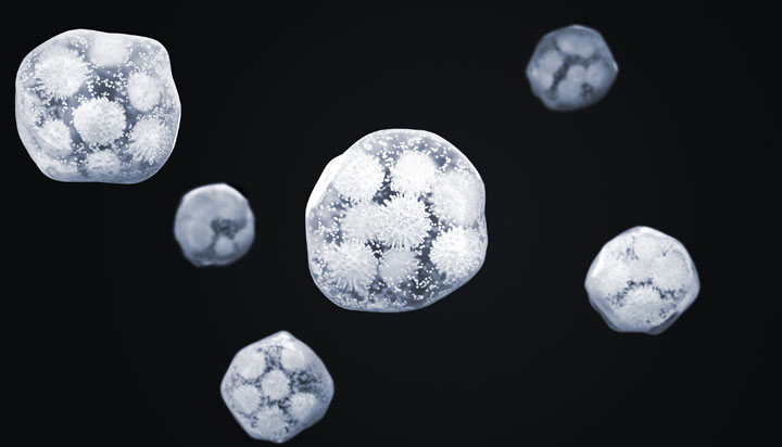 一種便攜一體式快速還原物理除濕盒、除濕器的制作方法