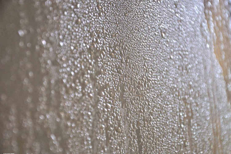 供應除濕機電機